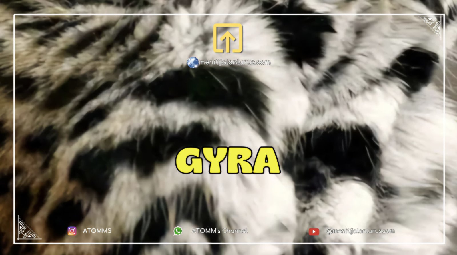 GYRA